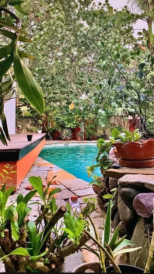 Manaya Bed & Breakfast Punta Cana 2*,